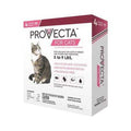 Pet Collar T899