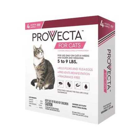 Pet Collar T899