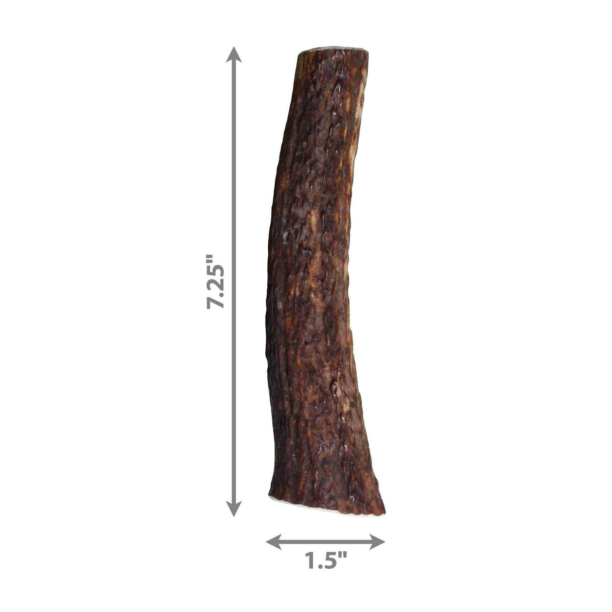 Whole Wild Elk Antler S70808