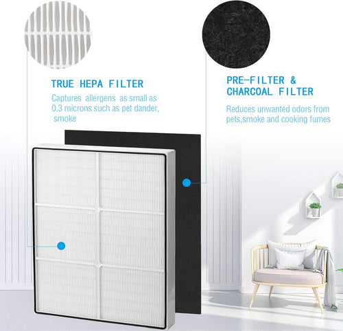 1 True HEPA Filter + 4 Carbon Filters Pack of 2 U955
