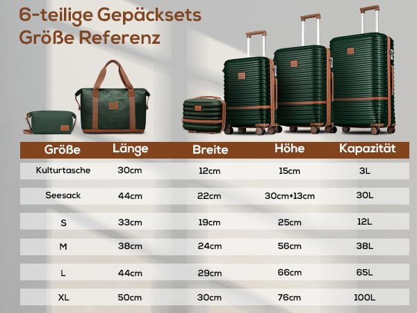 20 Inch Expandable Spinner Wheel Hard Shell Luggage Set with TSA Lock Y682079