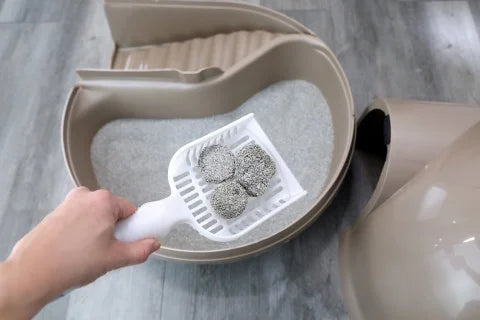 Enclosed Cat Litter Box S20754