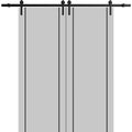 Double Barn Door 36 x 80 inches with Frosted Glass C827709