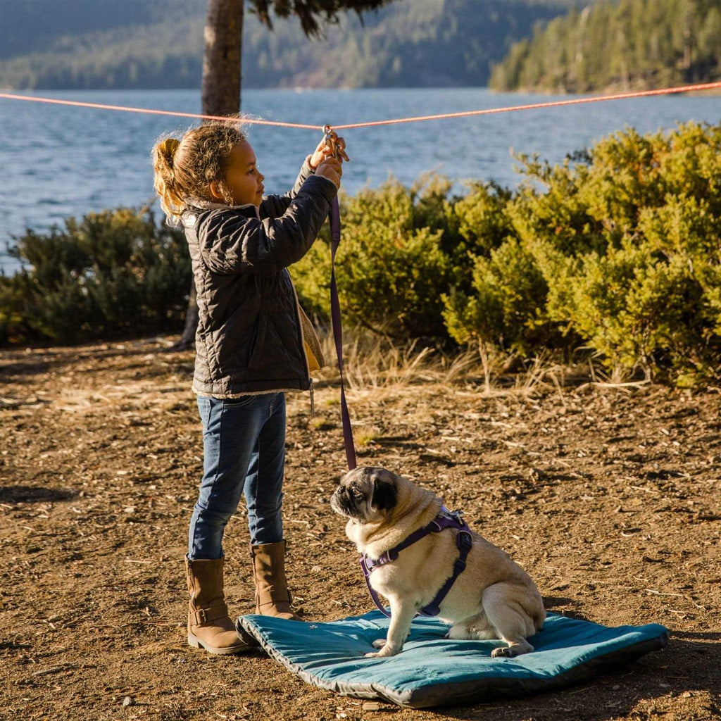 Dog Hitch V19567