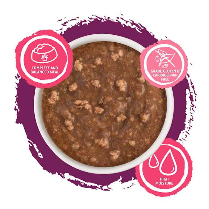 Wet Cat Food F2133
