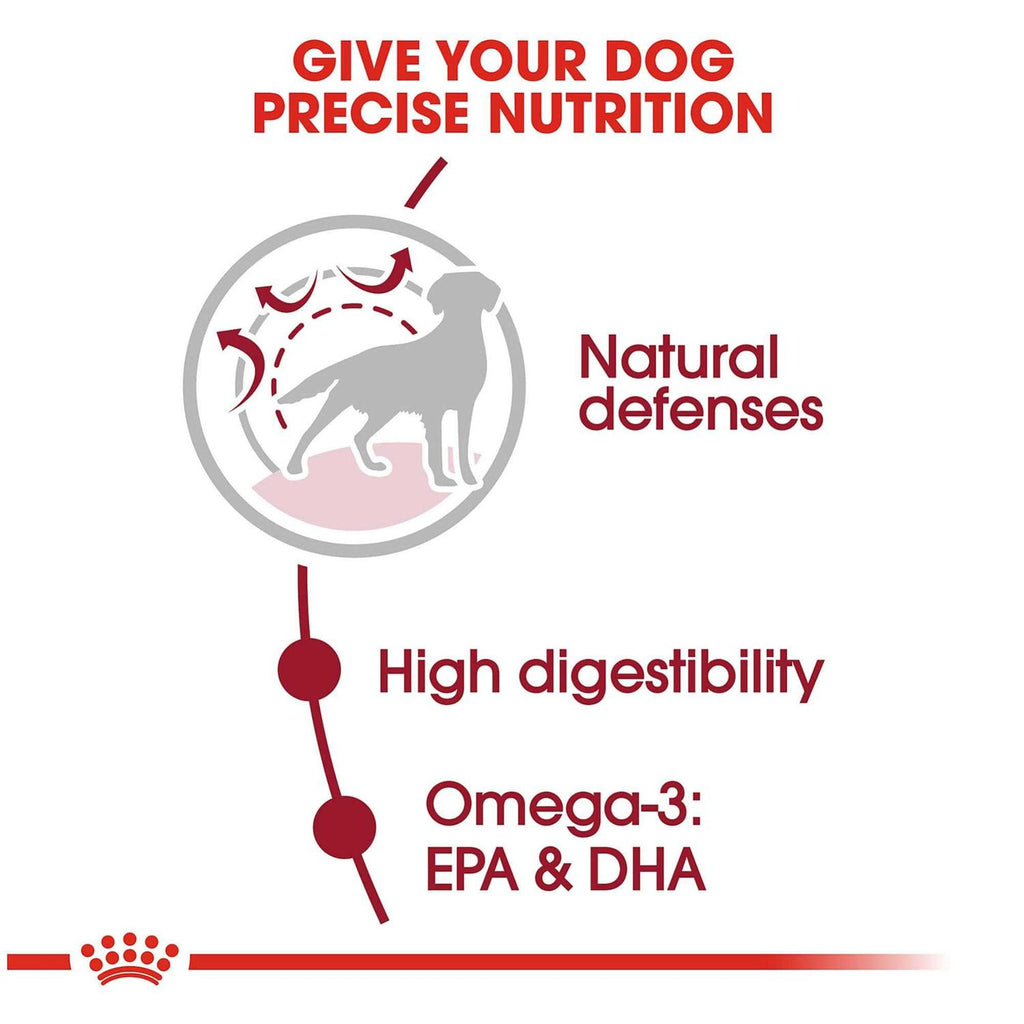 Medium Adult Dry Dog Food N586