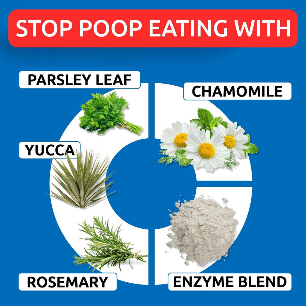 Chew No Poo Pet Supplies Q5207