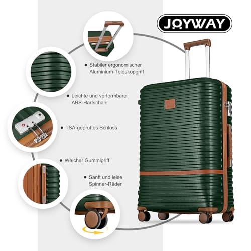 20 Inch Expandable Spinner Wheel Hard Shell Luggage Set with TSA Lock Y682079