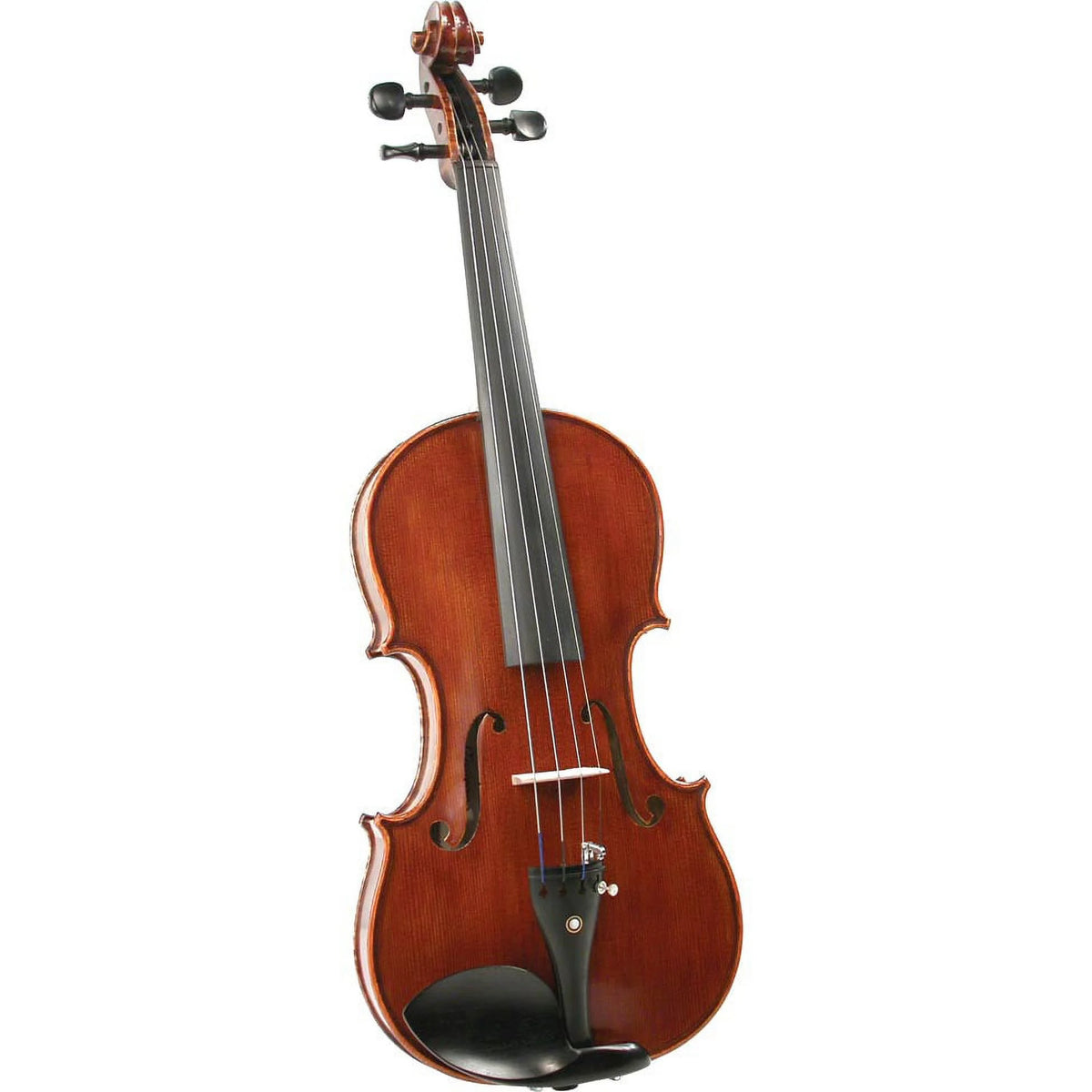 Maestro Violin R95809