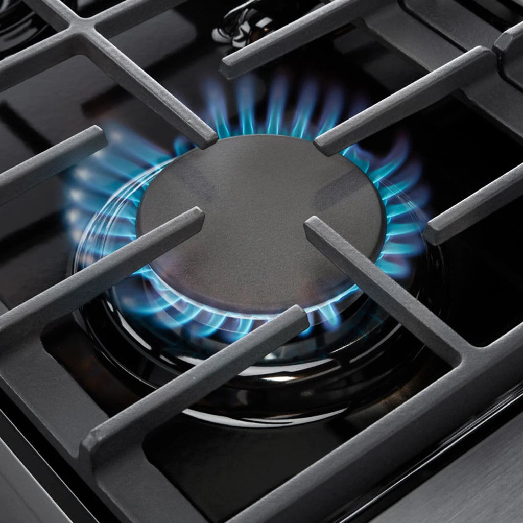 Professional Gas Range X747085