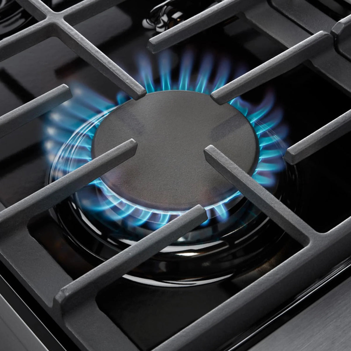 Professional Gas Range X747085
