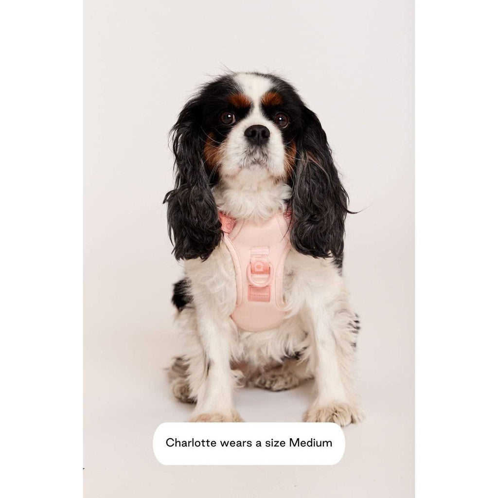 Easy Fit Harness B55684