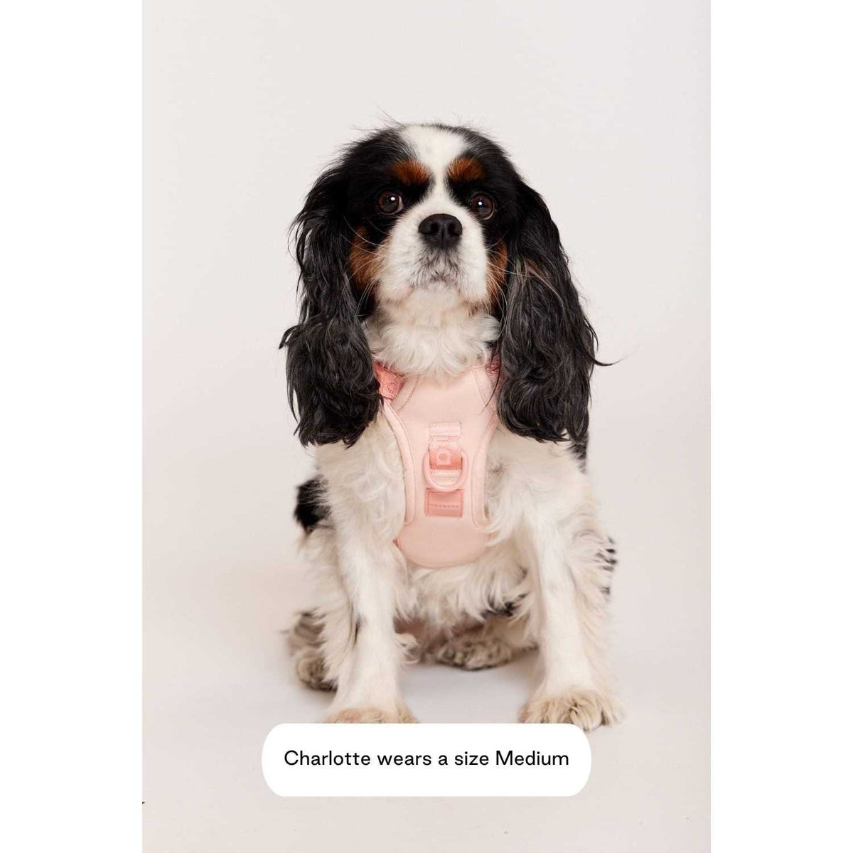 Easy Fit Harness B55684