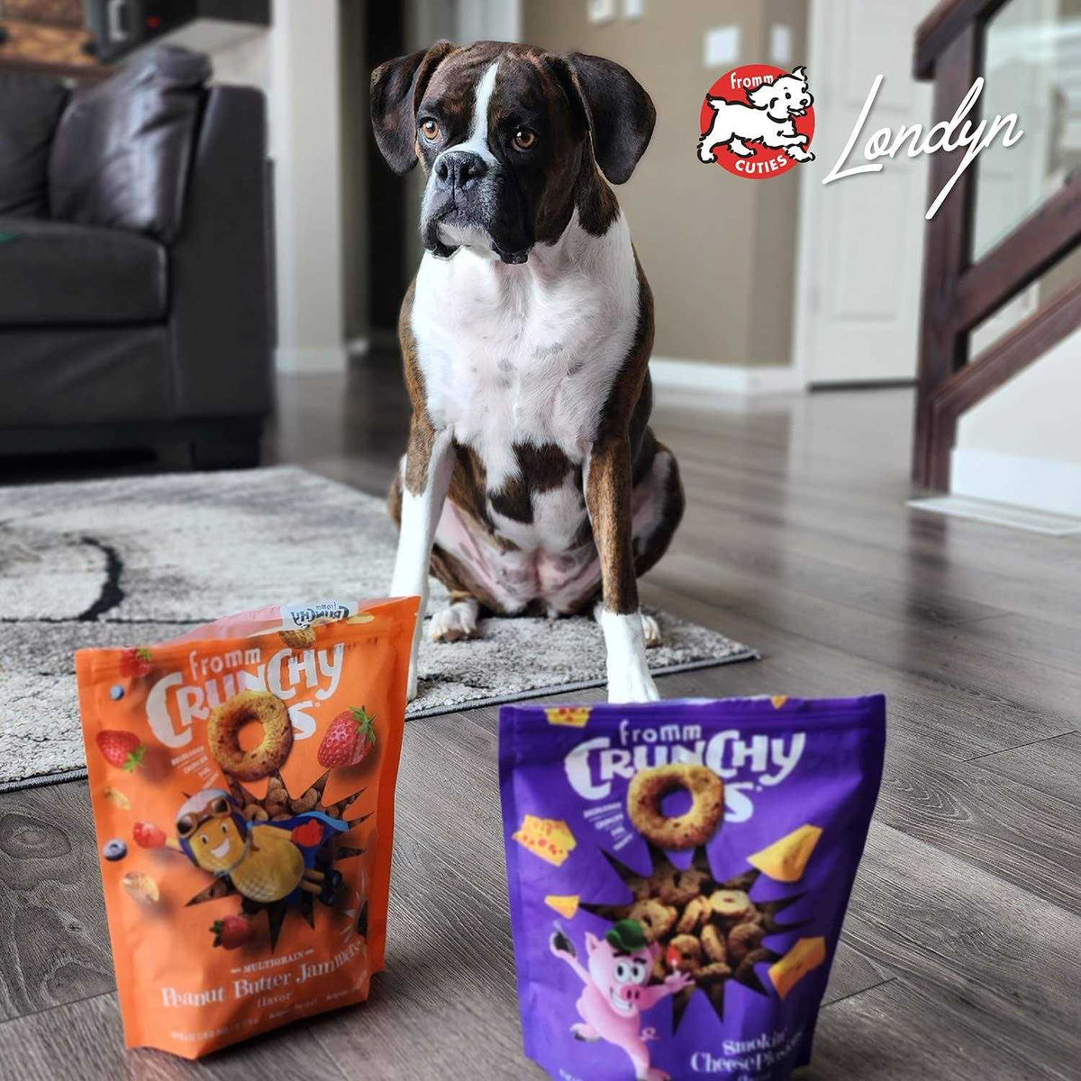 Crunchy O's Dog Treats V11550