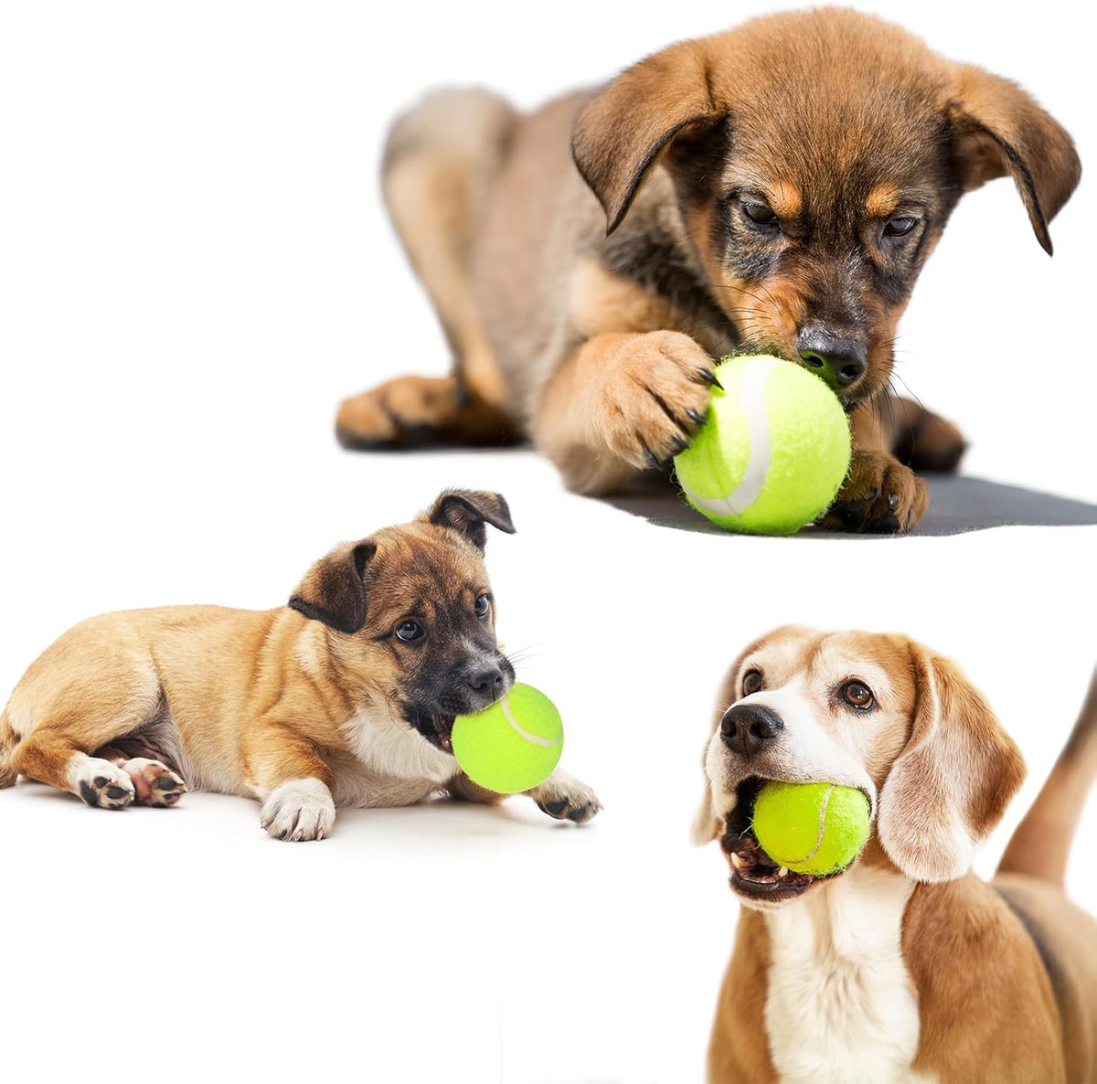 12 Pack 2inch Tennis Balls for Dogs V7322