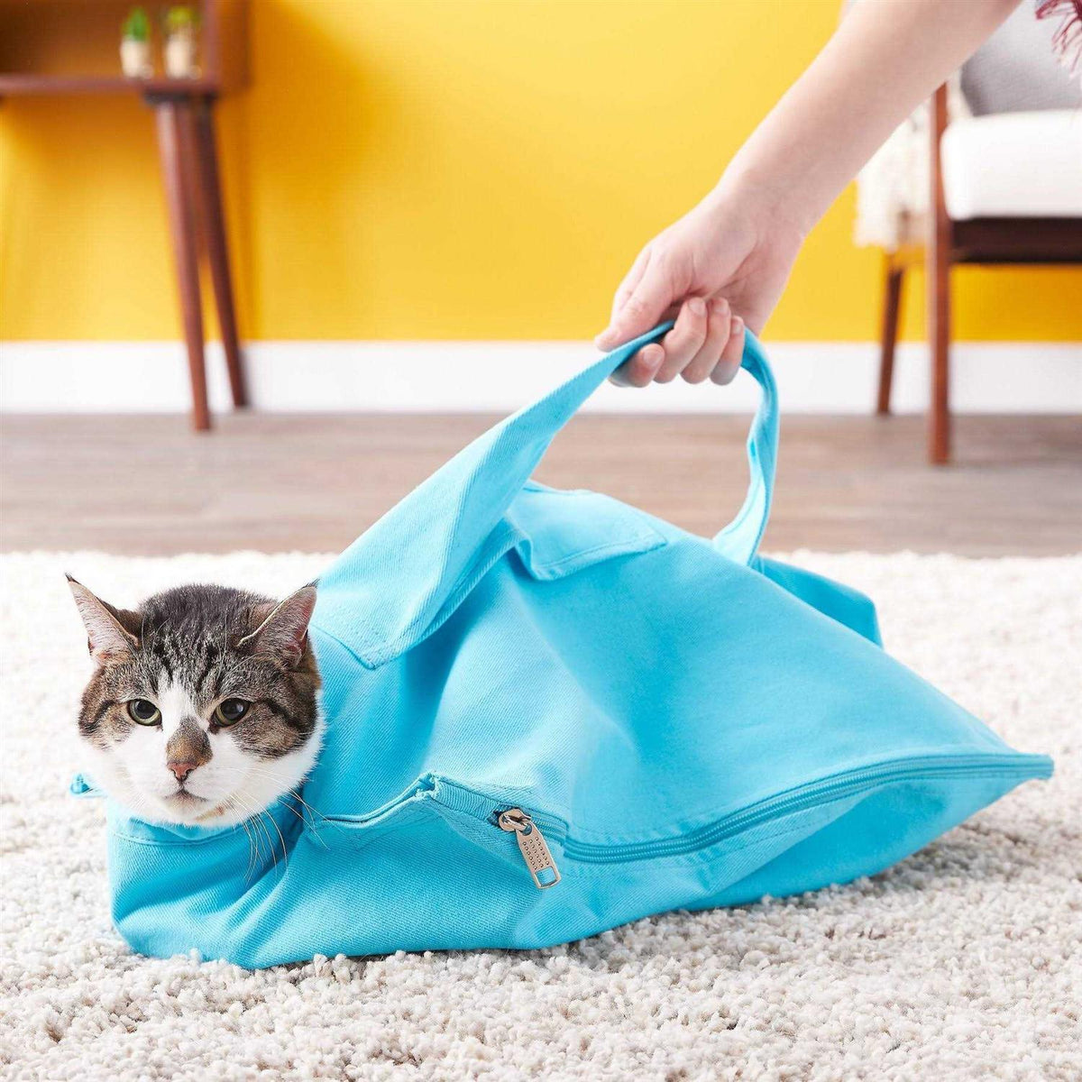 Cozy Comfort Carrier R93208