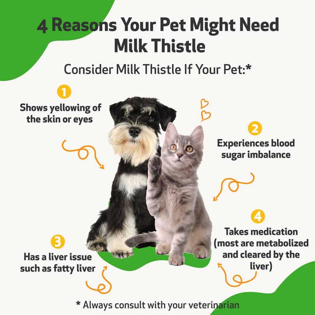Milk Thistle for Dogs T582