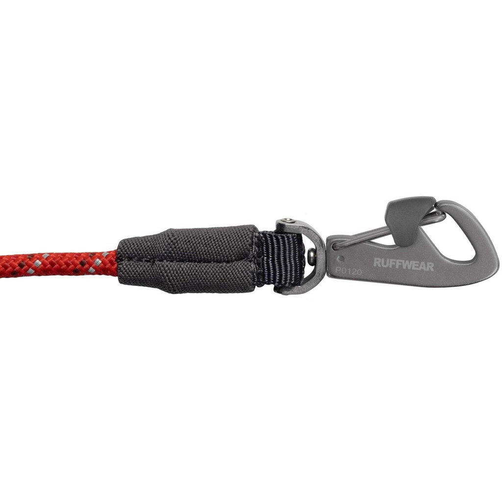 Dog Hitch V19567