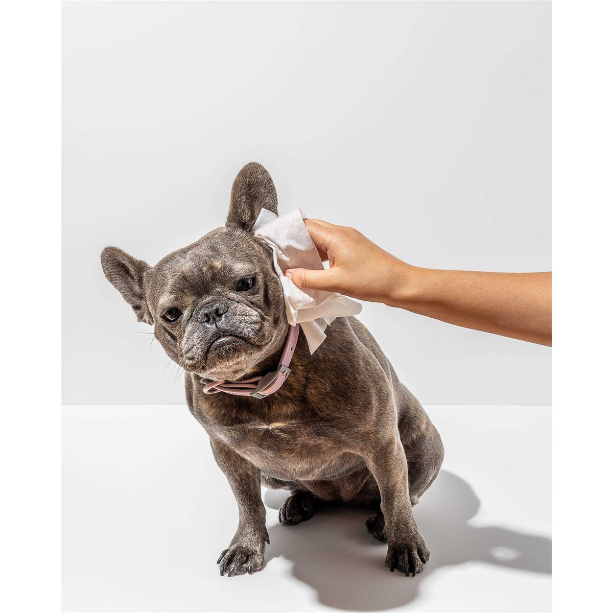 Grooming Wipes S52513