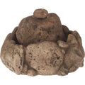 Reptile Fountain L3292