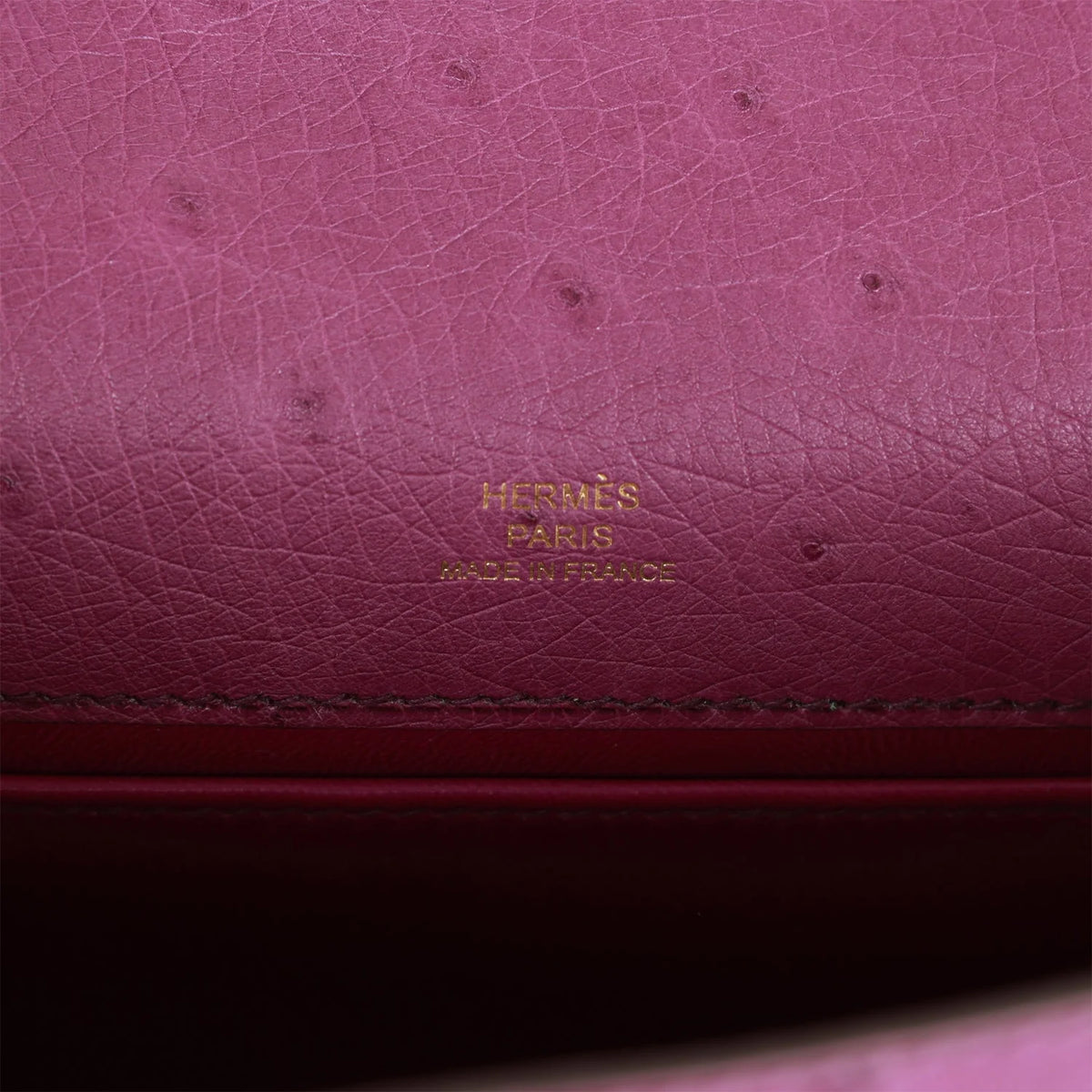 Anemone Ostrich Pochette V517