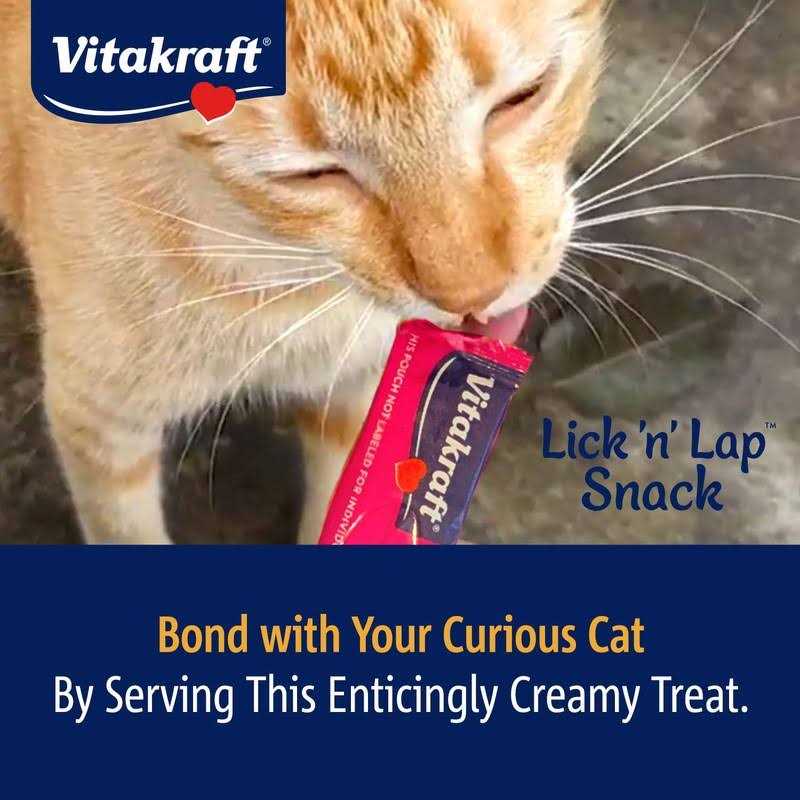 Cat Treat K667106