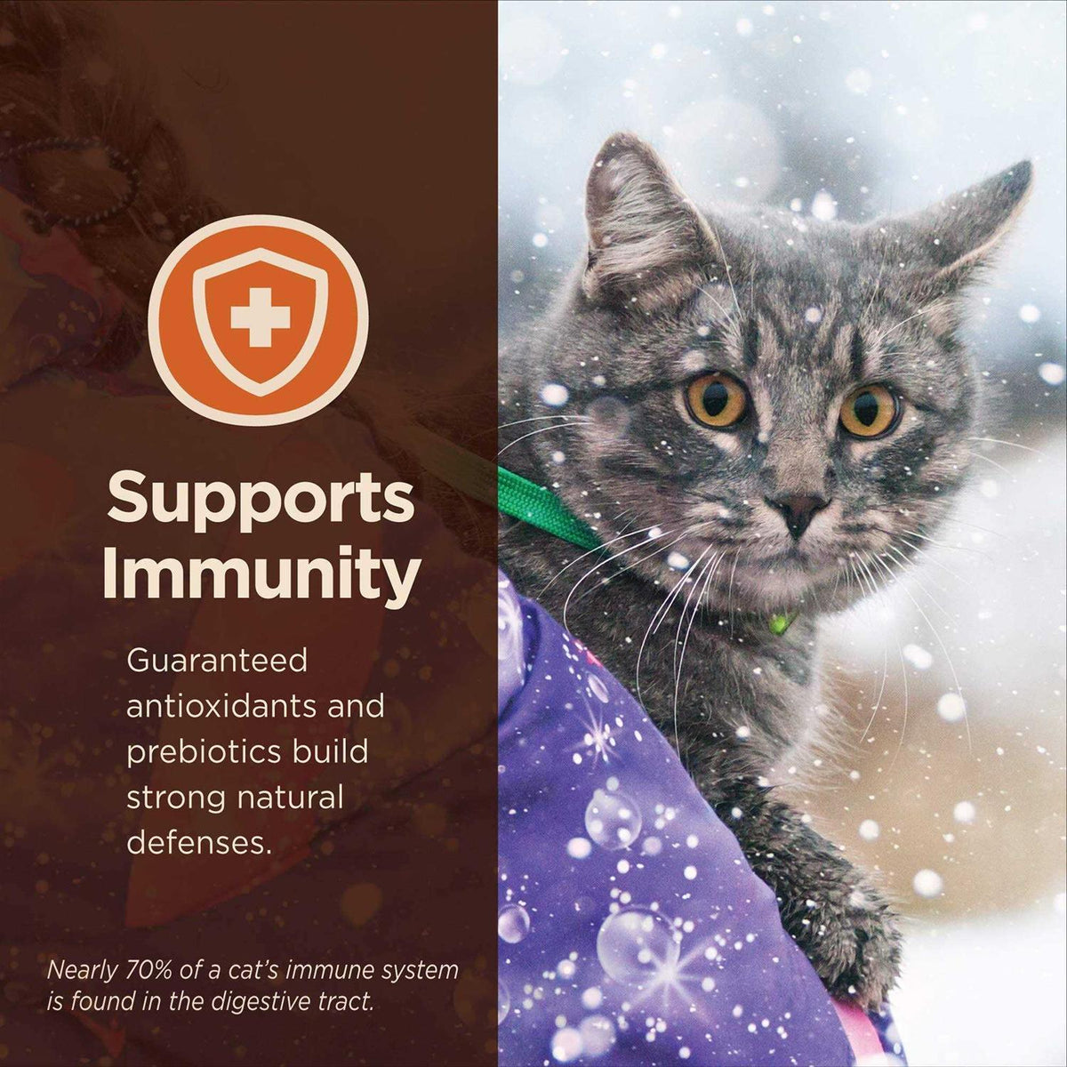Chicken & Rice Dry Cat Food C808