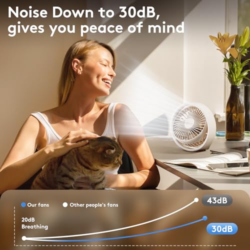 10 inch Portable Rechargeable Desk Fan K30887