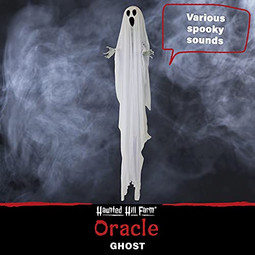 Life-Size 6-Ft Talking Ghost Halloween Animatronic with Lights and Sound M431356