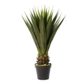 Green Potted Aloe Vera X587