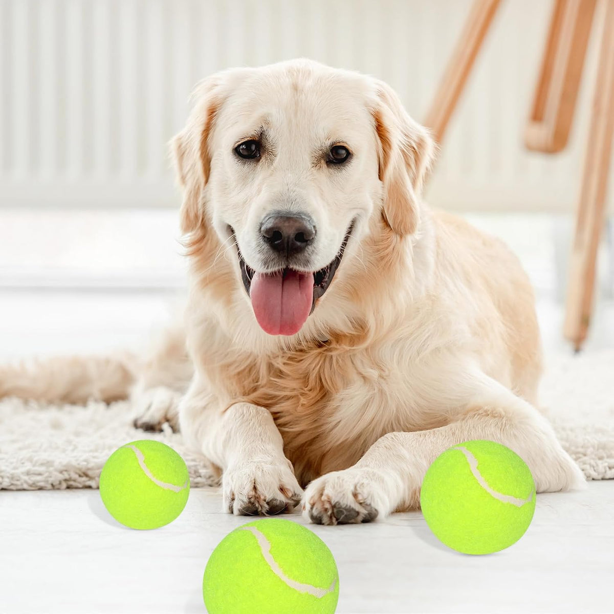 12 Pack 2inch Tennis Balls for Dogs V7322