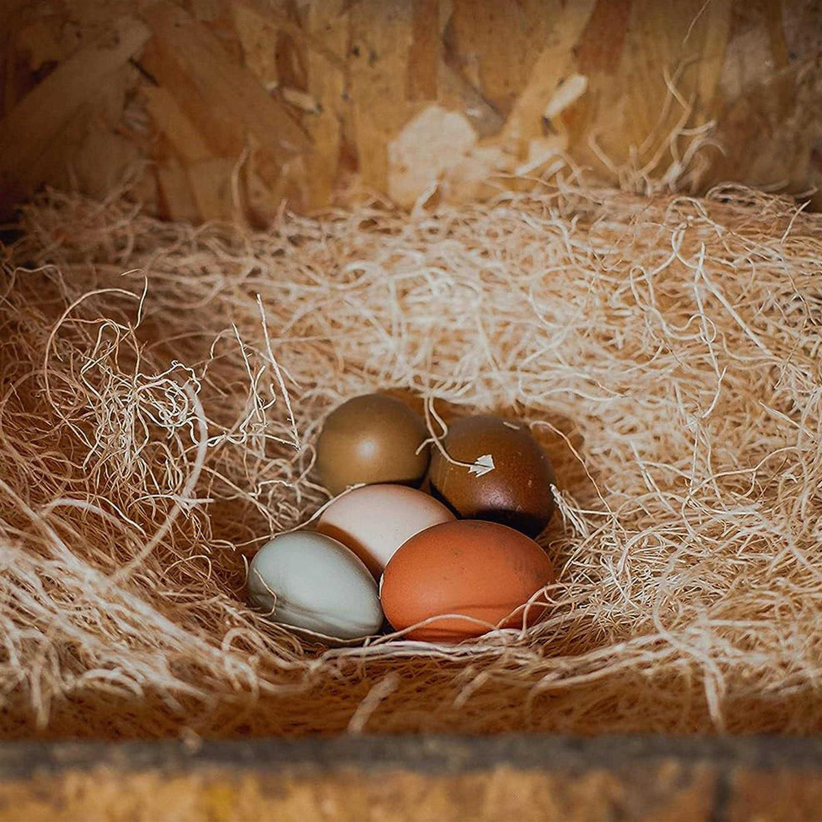 Laying Hen Nesting Pads P852587