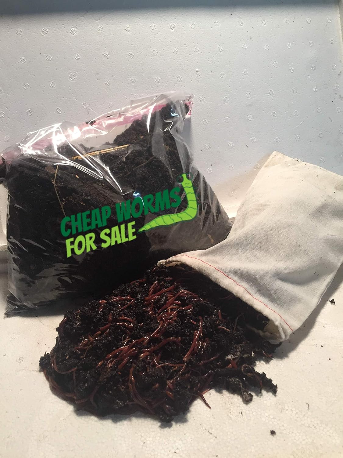 100 Red Compost Worms T9729