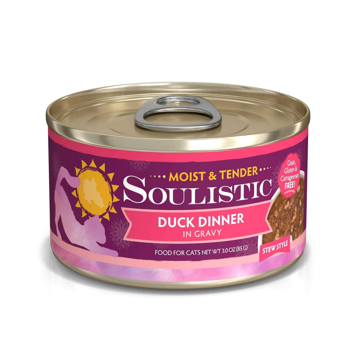 Wet Cat Food F2133