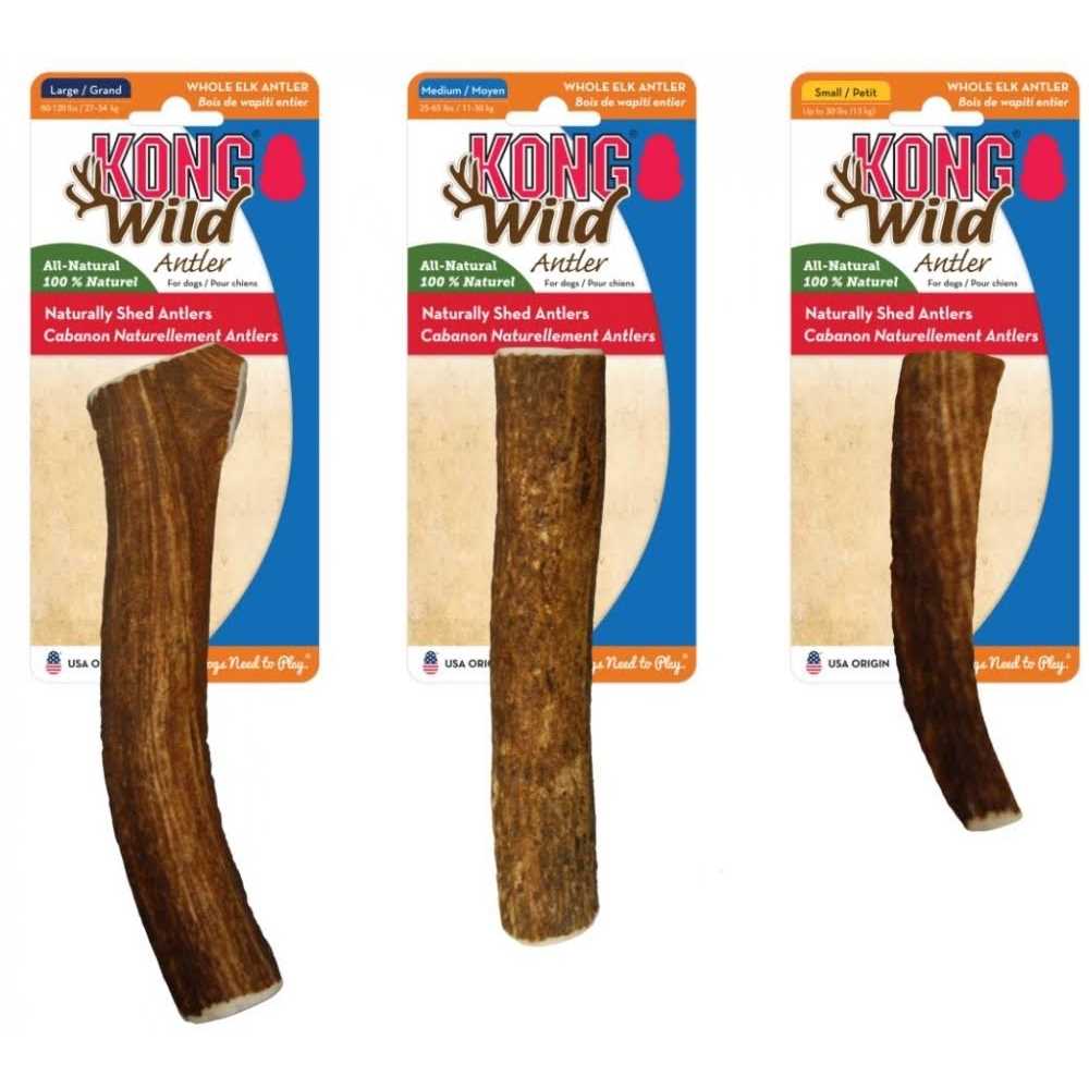 Whole Wild Elk Antler S70808