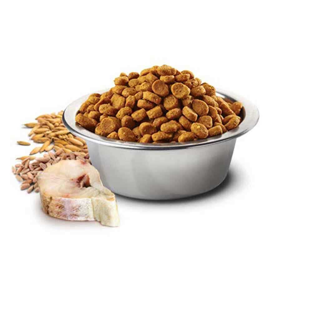 Cod & Orange Adult Mini Dry Dog Food H85182