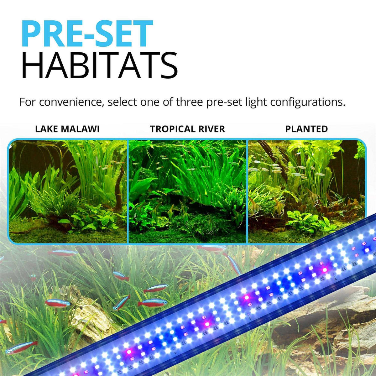 LED N328823