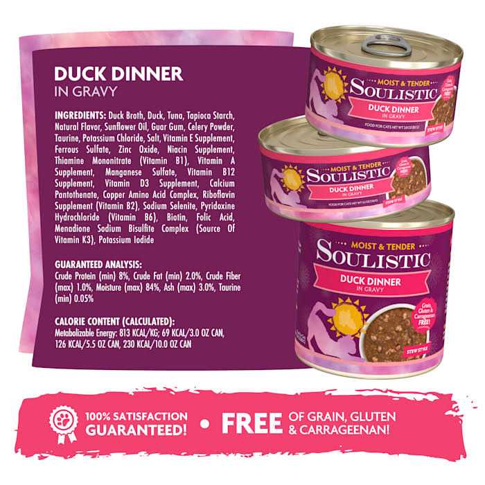 Wet Cat Food F2133