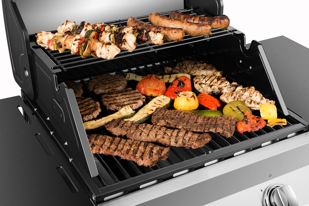 2 Burner Stainless Steel Propane Gas Grill S618