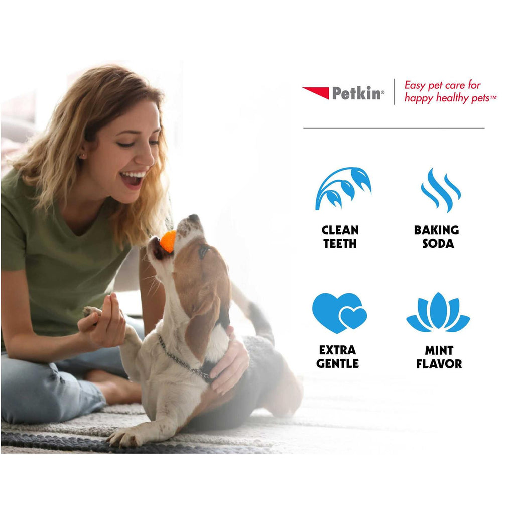 Tooth Wipes S867