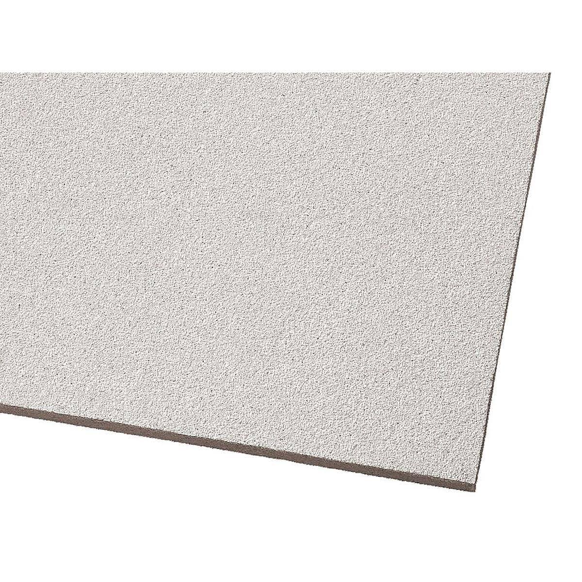 Acoustical Ceiling Panel, 24x48x5/8 in., 6 per Case J57494