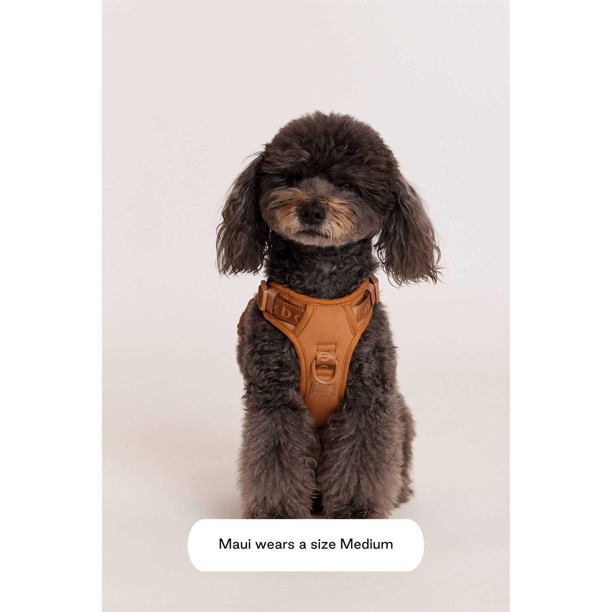 Easy Fit Harness B55684