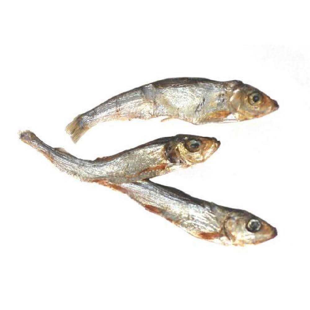 Wild Caught Baltic Sprat Dog Treats T3069