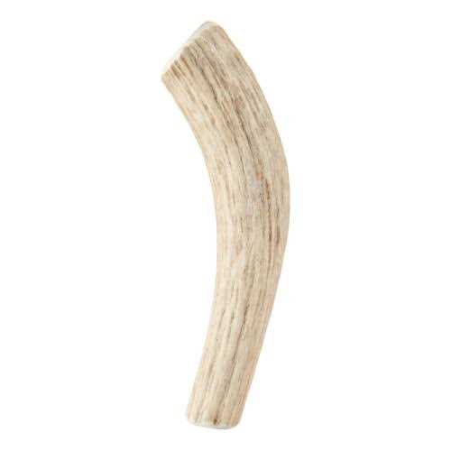 Whole Wild Elk Antler S70808